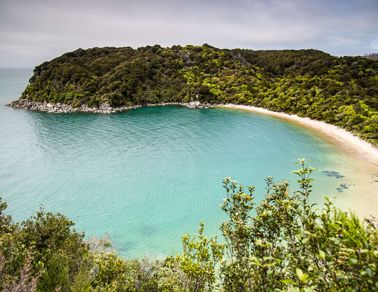 Half Day Itinerary in the Abel Tasman - A short stroll in the park