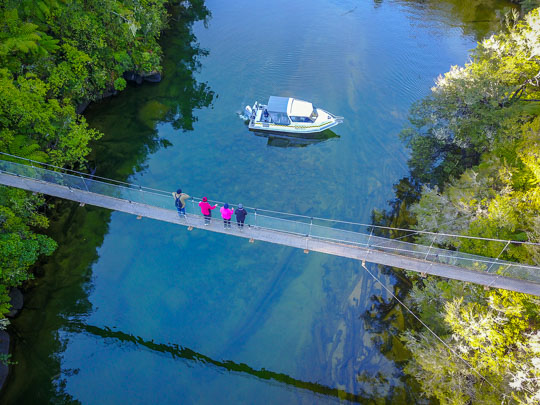 Abel Tasman Must Dos - Experience the best of the Abel Tasman - Go Walking & Hiking