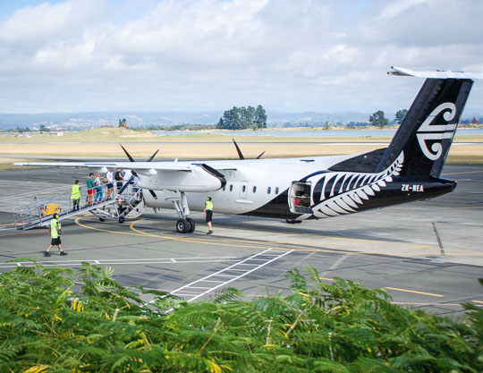 Air transport to the Abel Tasman - How to get here