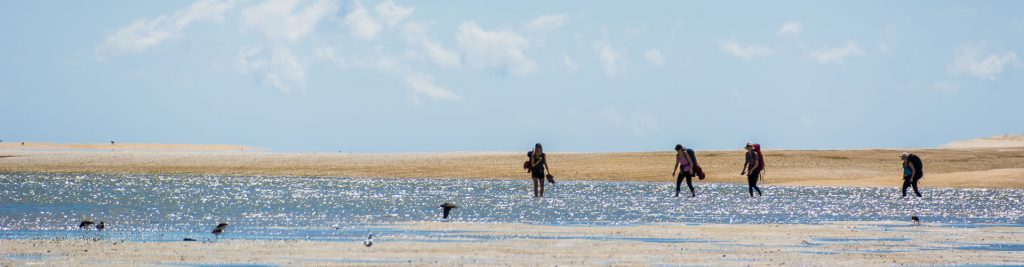 Plan & Prepare - Check the tides for your Abel Tasman track walk