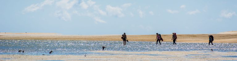 Plan & Prepare - Check the tides for your Abel Tasman trip