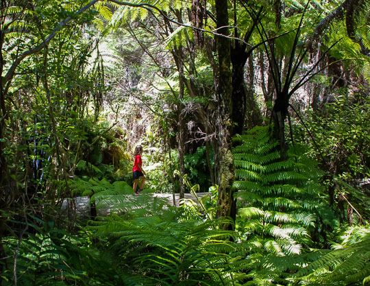 Safety in the Abel Tasman National Park