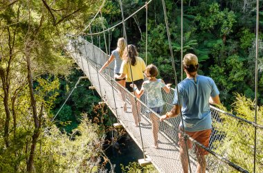 Abel Tasman Day trip - Kayak and Walk - Falls River Swing Bridge