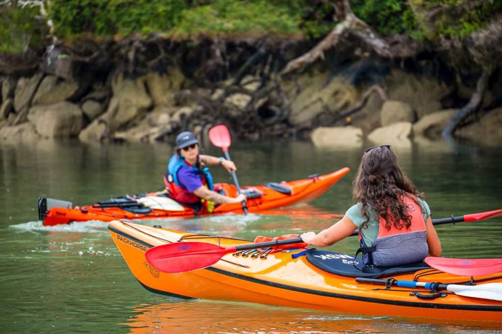 Abel Tasman Magazine - Which kayaking option? Freedom kayak hire & rental