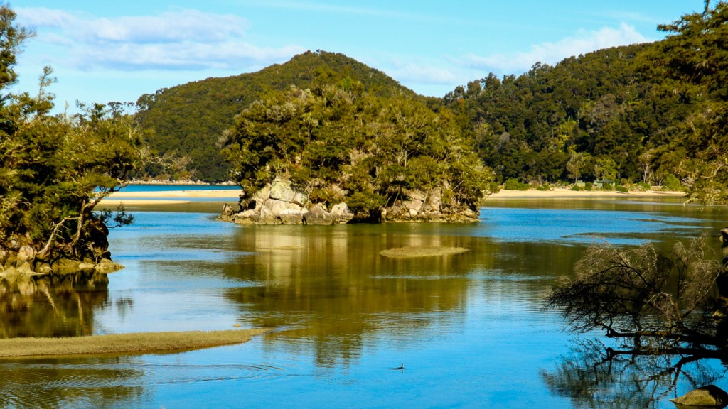 Bark Bay Bay - Best parts of the Abel Tasman