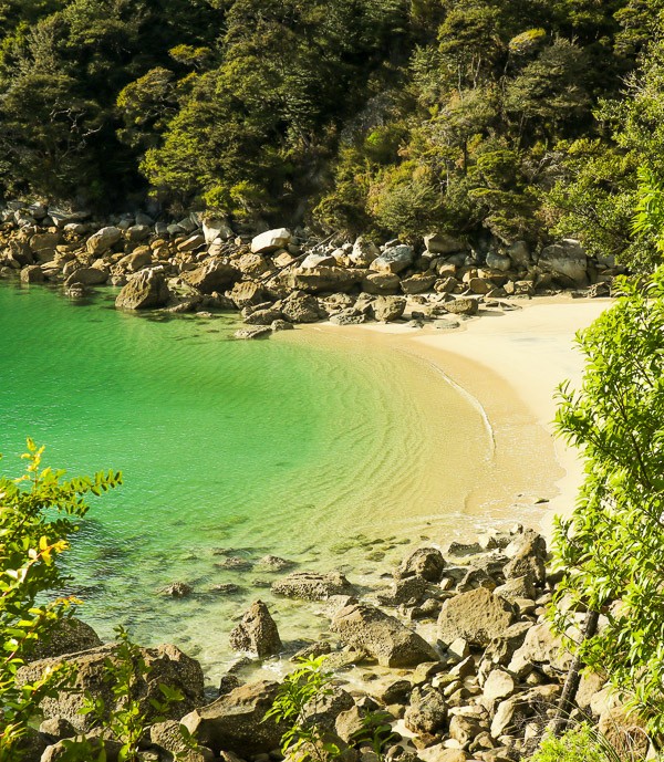 Medalands Beach one of the best parts of the Abel Tasman