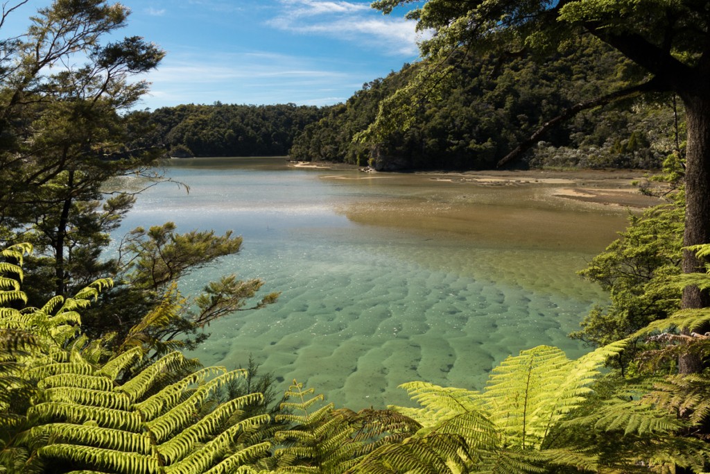Conservation in the Abel Tasman National Park